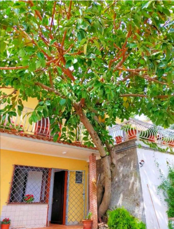 Sul lago dorato Terracina Exterior foto